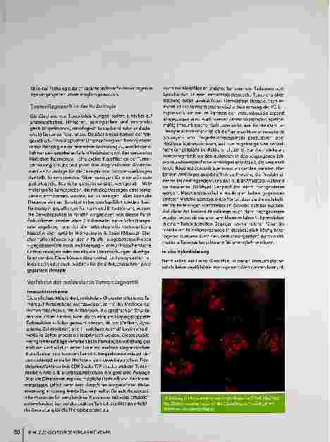 Vorschauseite 2: Molekularpathologische Tumordiagnostik