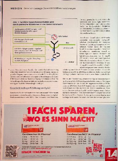 Vorschauseite 3: LDL und Lipoprotein (a)