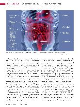 Vorschauseite 3: Biomarker und Mikrobiom in der personalisierten Ernährung