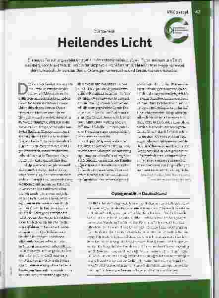 Vorschauseite 1: Heilendes Licht
