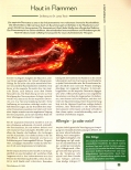 Vorschauseite 1: Haut in Flammen