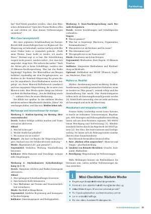 Vorschauseite 2: Positive Safety Leadership Sicherheitskultur als Systemvariable