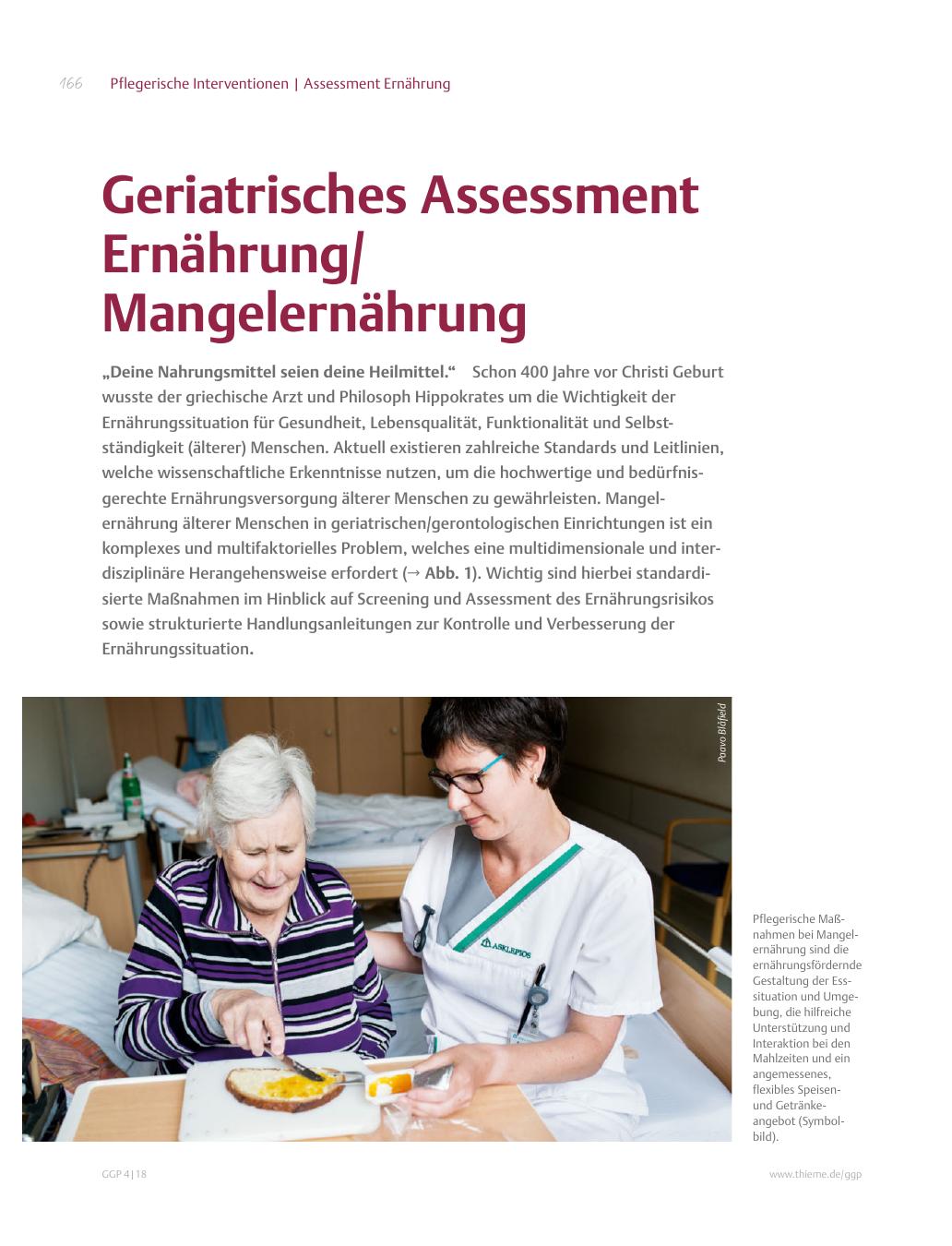 Vorschauseite 1: Geriatrisches Assessment Ernährung/Mangelernährung