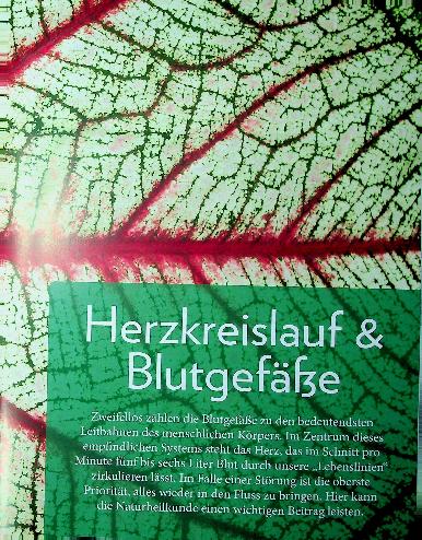 Vorschauseite 1: Gesundes Essen, gesundes Herz: Ernährung und Herz-Kreislauf-Erkrankungen