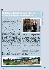 Vorschauseite 1: Heilpädagogische Förderung mit dem Pferd und tiergestützte Intervention