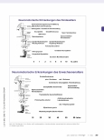 Vorschauseite 2: Interdisziplinäres Screening für Muskel-Skelett-Veränderungen bei neuromotorischen Erkrankungen