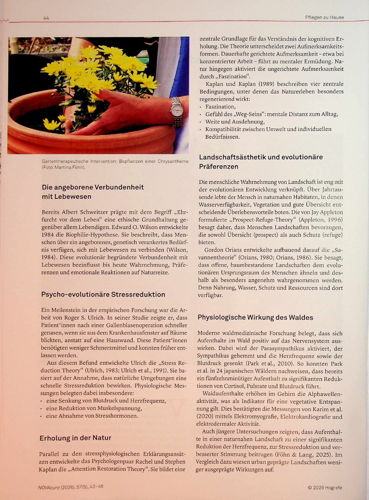 Vorschauseite 2: Natur als Medizin, gesundheitsfördernde Anwendungen von Natur und Wald