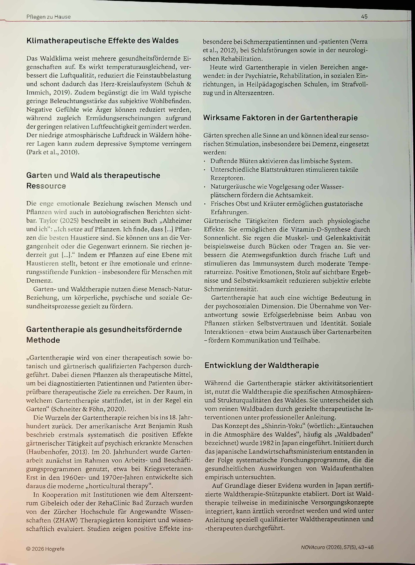 Vorschauseite 3: Natur als Medizin, gesundheitsfördernde Anwendungen von Natur und Wald