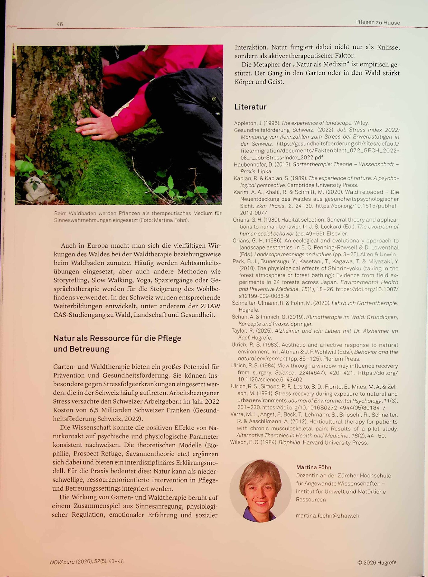 Vorschauseite 4: Natur als Medizin, gesundheitsfördernde Anwendungen von Natur und Wald