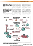 Vorschauseite 2: Panton-Valentine-Leukozidin (PVL): Daran denken! Gestörte Wundheilung und prolongierter Verlauf von kutanen Abszessen – ein Staphylokokken-Exotoxin verhindert eine rasche Heilung…