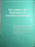 Vorschauseite 1: Wie palpitiert die Hebamme die Fruchtwassermenge?