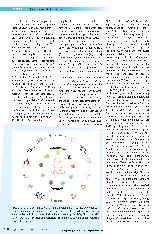 Vorschauseite 3: Infektionssuszeptibilität des Neugeborenen - Welche Rolle spielt die angeborene Immunität?