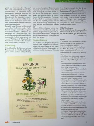 Vorschauseite 4: Die Gemeine Nachtkerze - Oenothera biennis,
