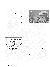 Vorschauseite 3: Meeresbewohner in Seenot