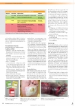 Vorschauseite 3: Chronische Wunden in der Diabetologie, Teil 2