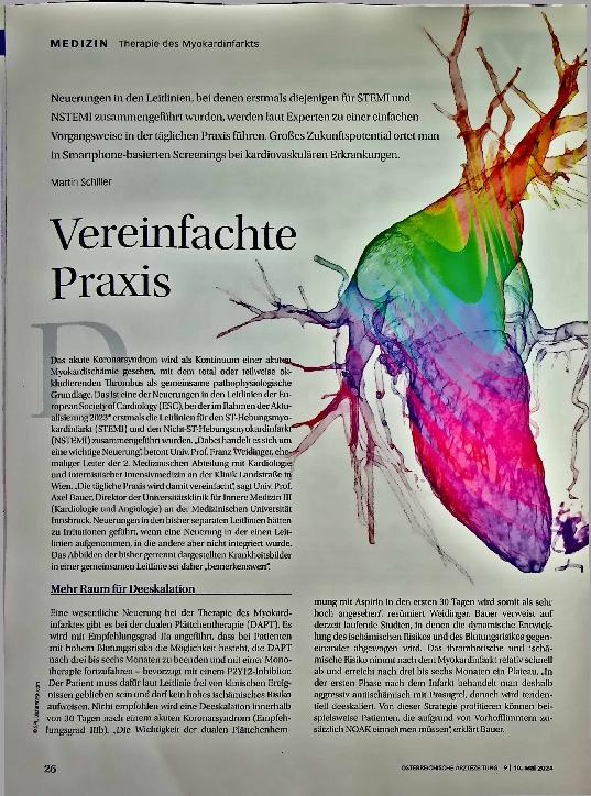Vorschauseite 1: Vereinfachte Praxis