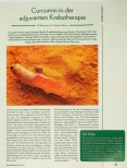 Vorschauseite 1: Curcumin in der adjuvanten Krebstherapie