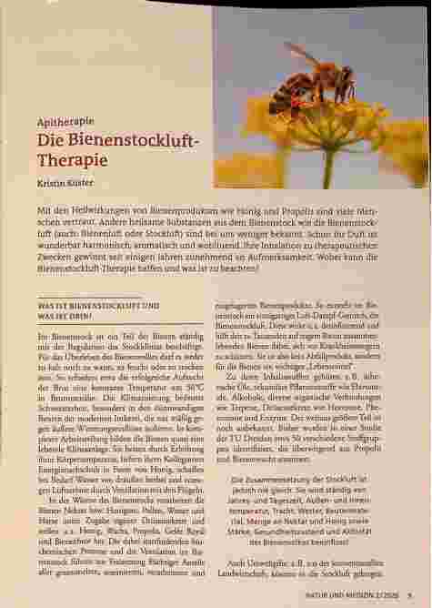 Vorschauseite 1: Apitherapie: Die Bienenstockluft - Therapie