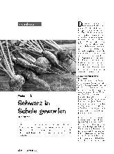 Vorschauseite 1: Winterrettich Schwarz in Schale geworfen