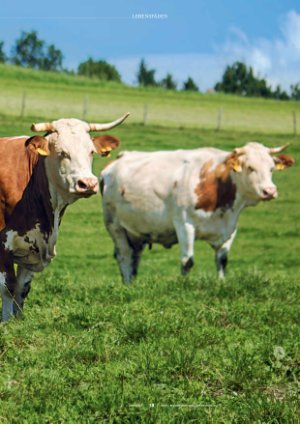 Vorschauseite 1: Höfe als Refugien