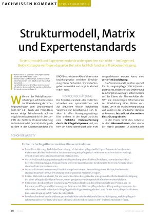 Vorschauseite 1: Strukturmodell, Matrix und Expertenstandards