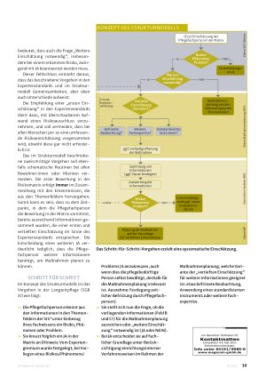 Vorschauseite 2: Strukturmodell, Matrix und Expertenstandards