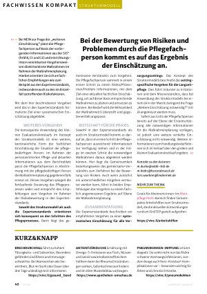 Vorschauseite 3: Strukturmodell, Matrix und Expertenstandards