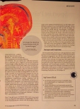 Vorschauseite 2: Symptome erkennen mit FAST-Test