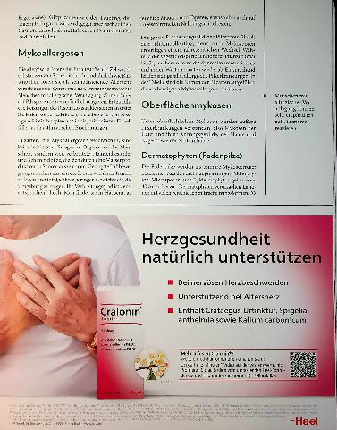 Vorschauseite 4: Ungebetene Mitbewohner Mykosen erkennen und therapieren