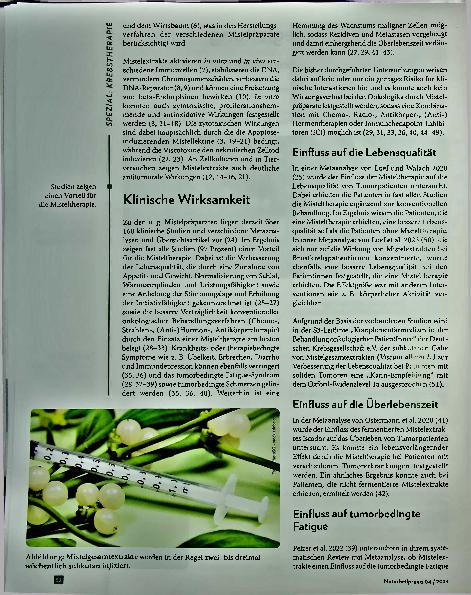 Vorschauseite 2: Gute Begleitung mit Mistelpräparaten in der integrativen Krebstherapie