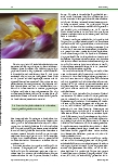 Vorschauseite 2: Die coole Seite der Empathie