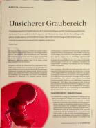 Vorschauseite 1: Unsicherer Graubereich