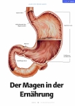 Vorschauseite 1: Der Magen in der Ernährung