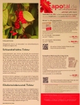 Vorschauseite 4: Adaptogene Tinkturen bei Energiemangel & Müdigkeit