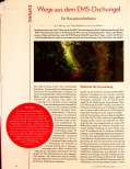 Vorschauseite 1: Wege aus dem EMS-Dschungel: Ein Navigationsleitfaden