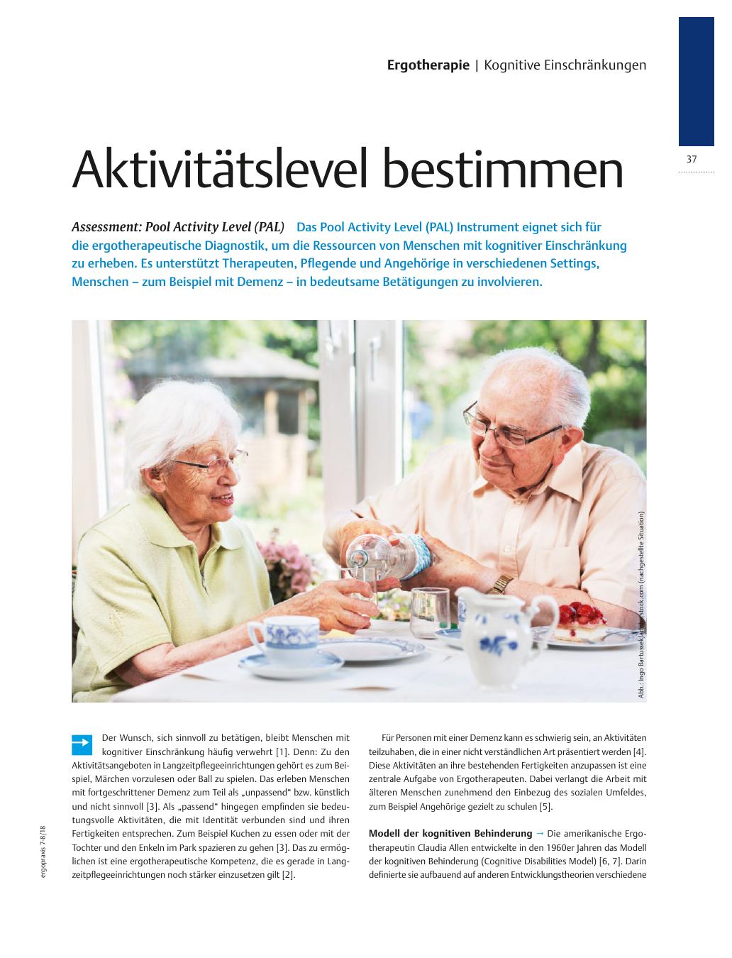 Vorschauseite 1: Assessment: Pool Activity Level (PAL) ? Aktivitätslevel bestimmen