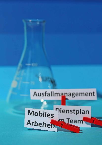 Vorschauseite 1: Experimentieren ist erwünscht!