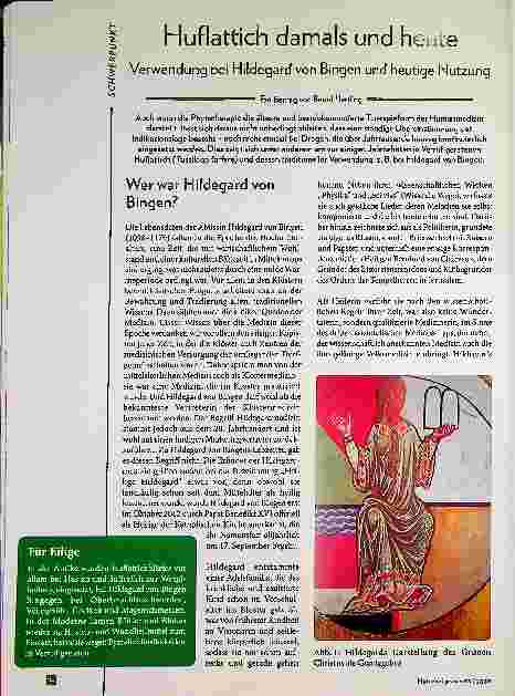 Vorschauseite 1: Huflattich damals und heute: Verwendung bei Hildegard von Bingen und heutige Nutzung