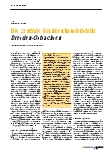 Vorschauseite 1: Die zentrale Krankenhausleitstelle Dresden-Ostsachsen