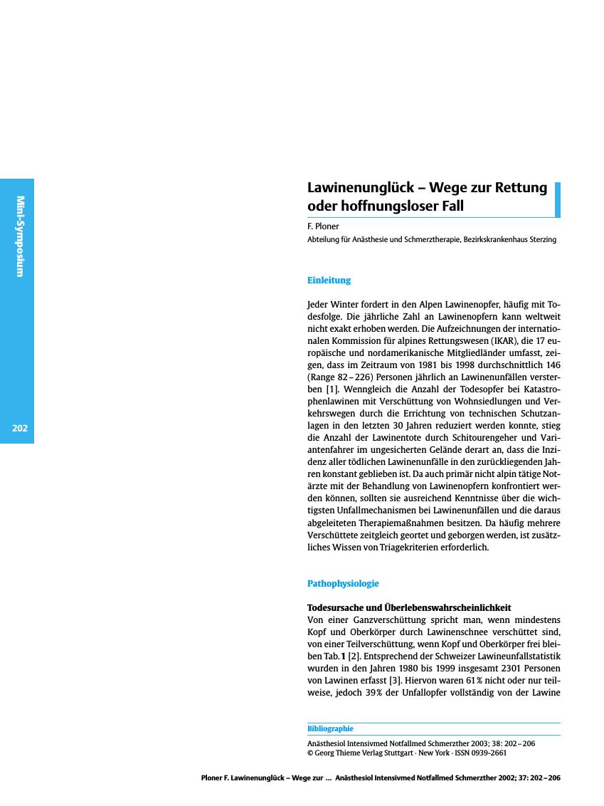 Vorschauseite 1: Lawinenunglück - Wege zur Rettung oder hoffnungsloser Fall