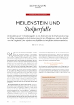 Vorschauseite 1: Meilenstein und Stolperfalle