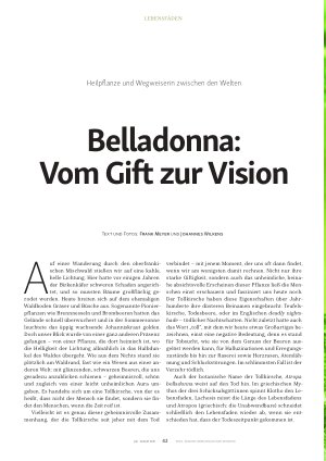 Vorschauseite 1: Belladonna: Vom Gift zur Vision