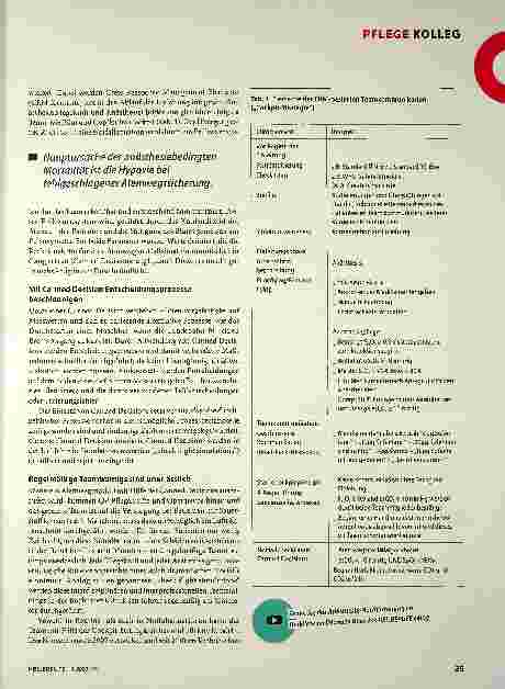 Vorschauseite 2: "Cockpit-Strategie" in der Anästhesiologie