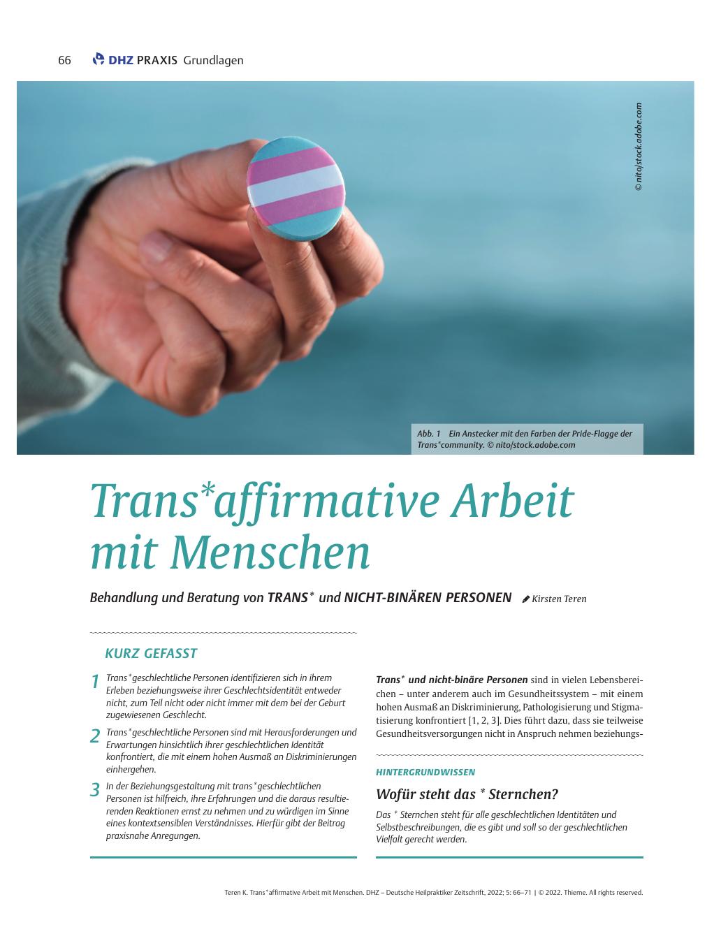 Vorschauseite 1: Trans*affirmative Arbeit mit Menschen