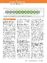Vorschauseite 2: Quality management is indispensable in the entire resuscitation care. Thesis 9 of the Bad Boll Resuscitation and Emergency Talks 2023.