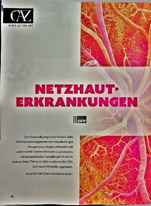 Vorschauseite 1: Netzhauterkrankungen
