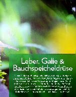 Vorschauseite 2: (Ur-)Tinkturen zur unterstützenden Behandlung von Diabetes und Leber-Galle-Beschwerden