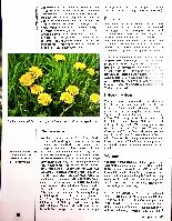 Vorschauseite 5: (Ur-)Tinkturen zur unterstützenden Behandlung von Diabetes und Leber-Galle-Beschwerden