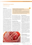 Vorschauseite 1: Staphylococcus aureus