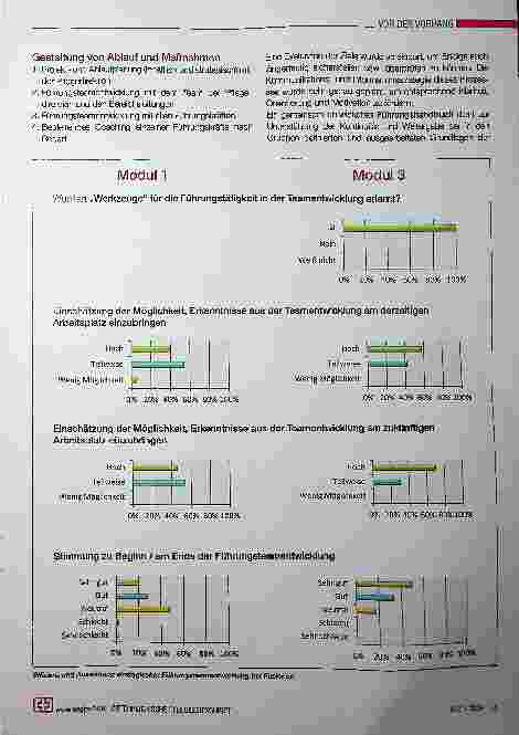 Vorschauseite 2: Beschreibung einer Führungsteam-Entwicklung im Rahmen der Fusion von Standorten